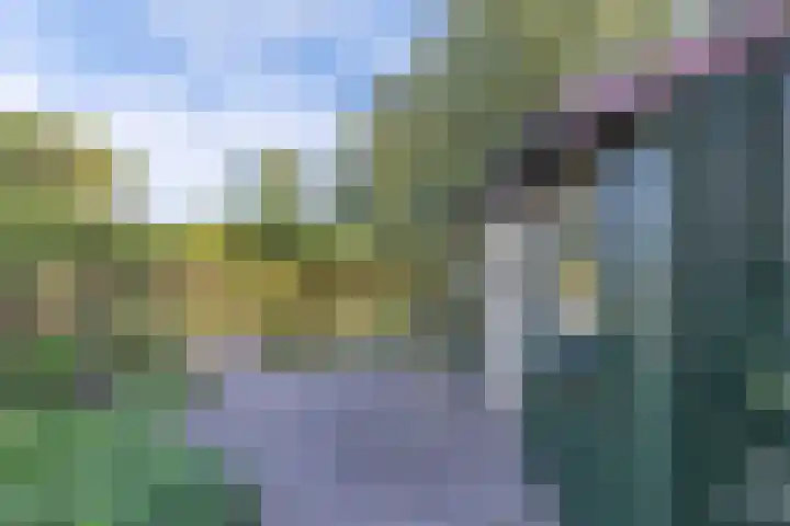 Tukseweg 210 Tuk thumbnail 39