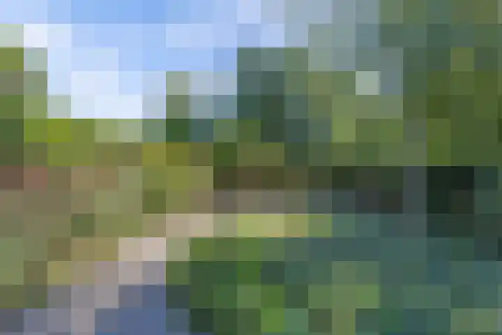 Tukseweg 210 Tuk thumbnail 41