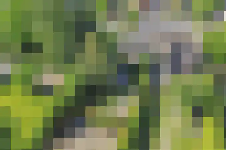 Tukseweg 210 Tuk thumbnail 42