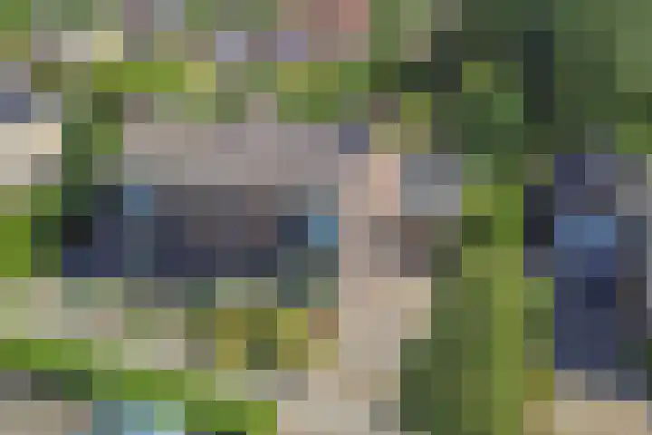 Tukseweg 210 Tuk thumbnail 43