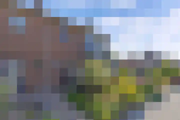 Tukseweg 210 Tuk thumbnail 44