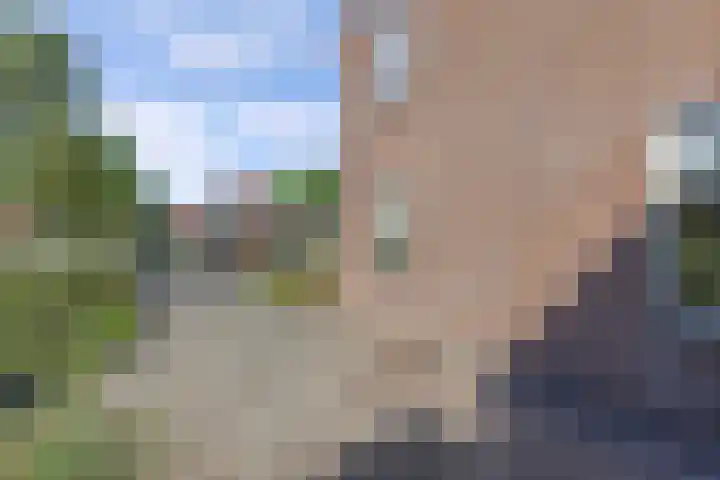Tukseweg 210 Tuk thumbnail 45