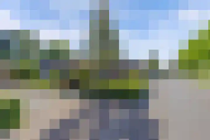 Tukseweg 210 Tuk thumbnail 46