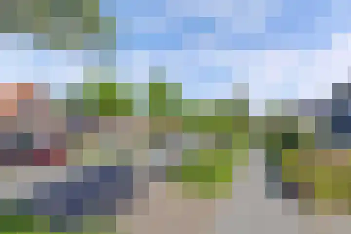 Tukseweg 210 Tuk thumbnail 47