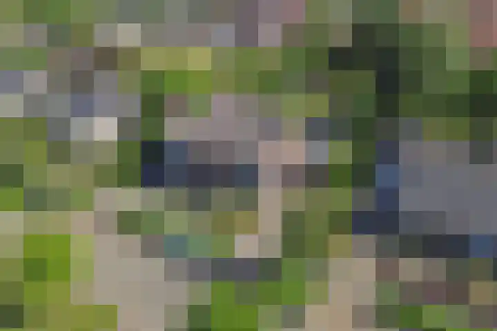 Tukseweg 210 Tuk thumbnail 48
