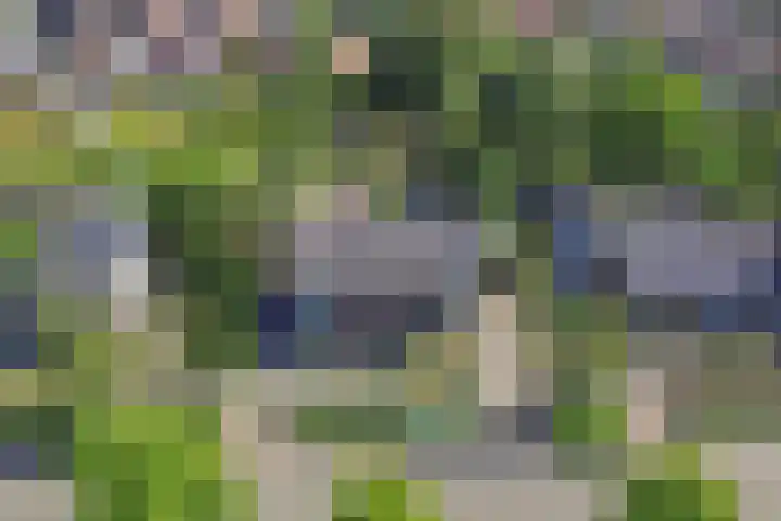 Tukseweg 210 Tuk thumbnail 49