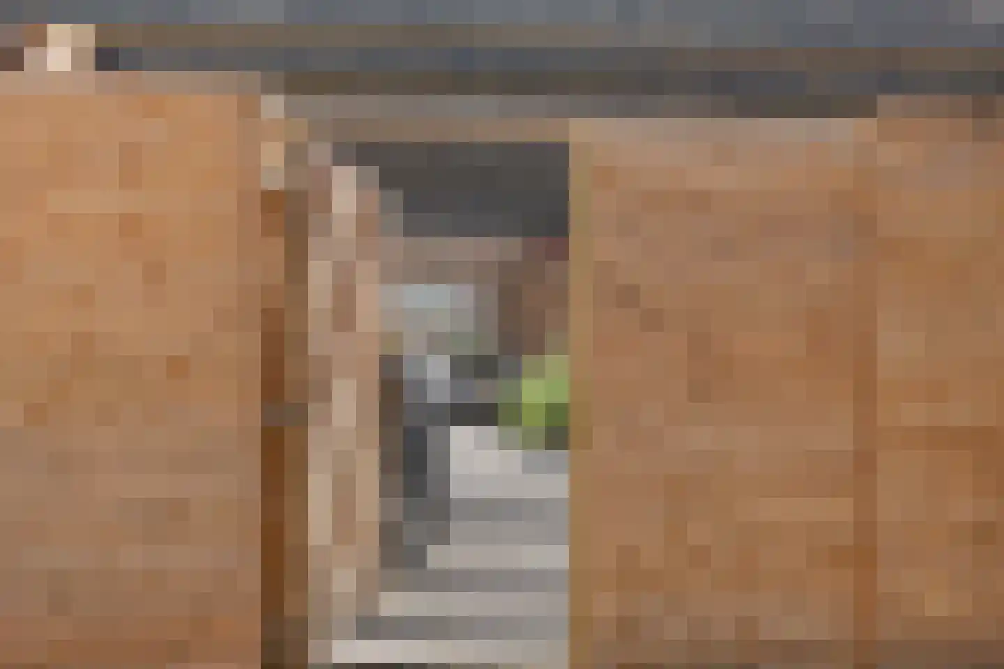 Tukseweg 26 Steenwijk thumbnail 37