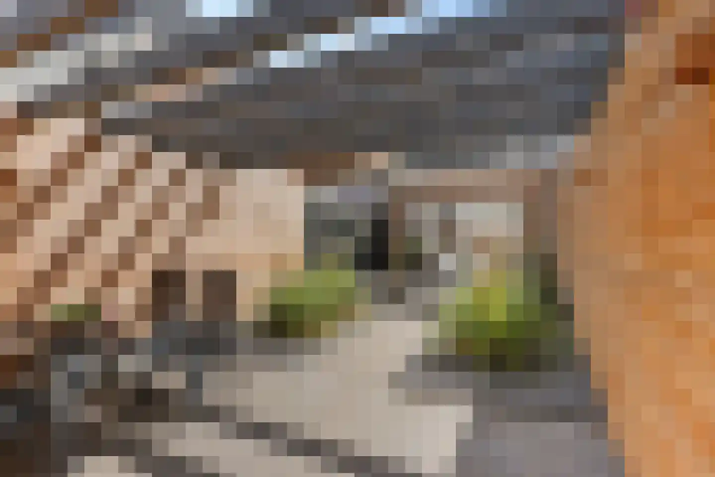 Tukseweg 26 Steenwijk thumbnail 4