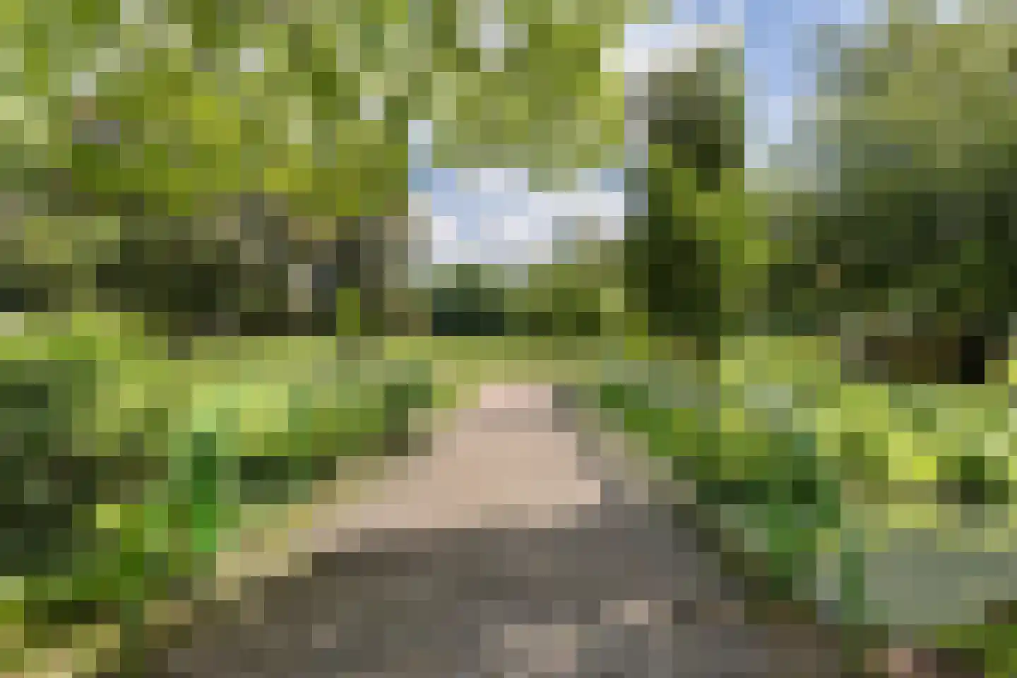 Tukseweg 26 Steenwijk thumbnail 6
