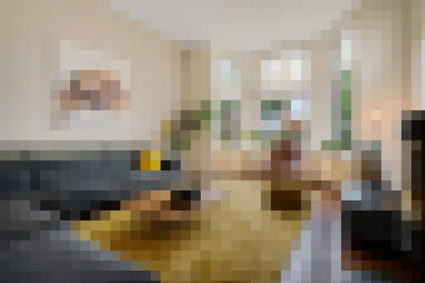 Tukseweg 47 Steenwijk thumbnail 19