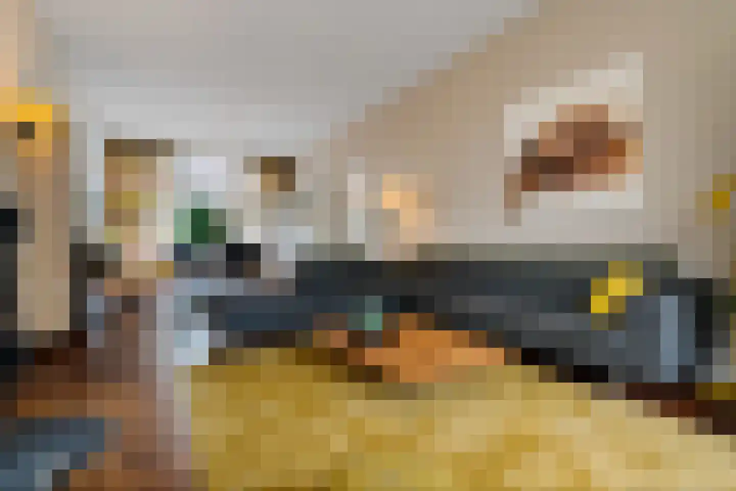Tukseweg 47 Steenwijk thumbnail 22