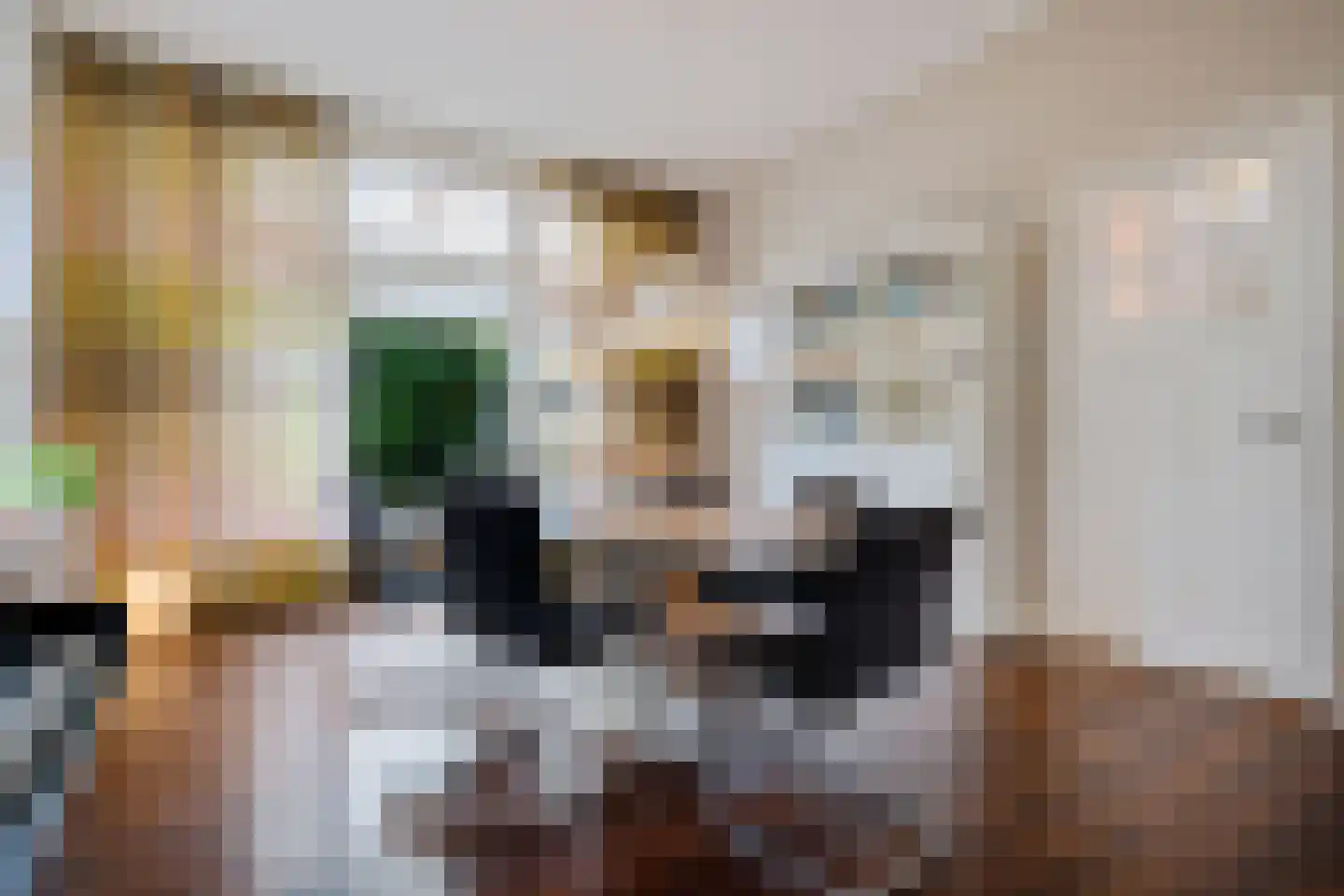 Tukseweg 47 Steenwijk thumbnail 23