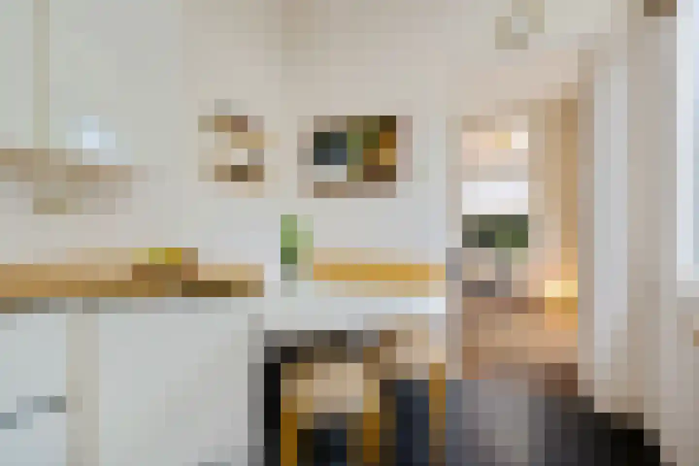Tukseweg 47 Steenwijk thumbnail 27