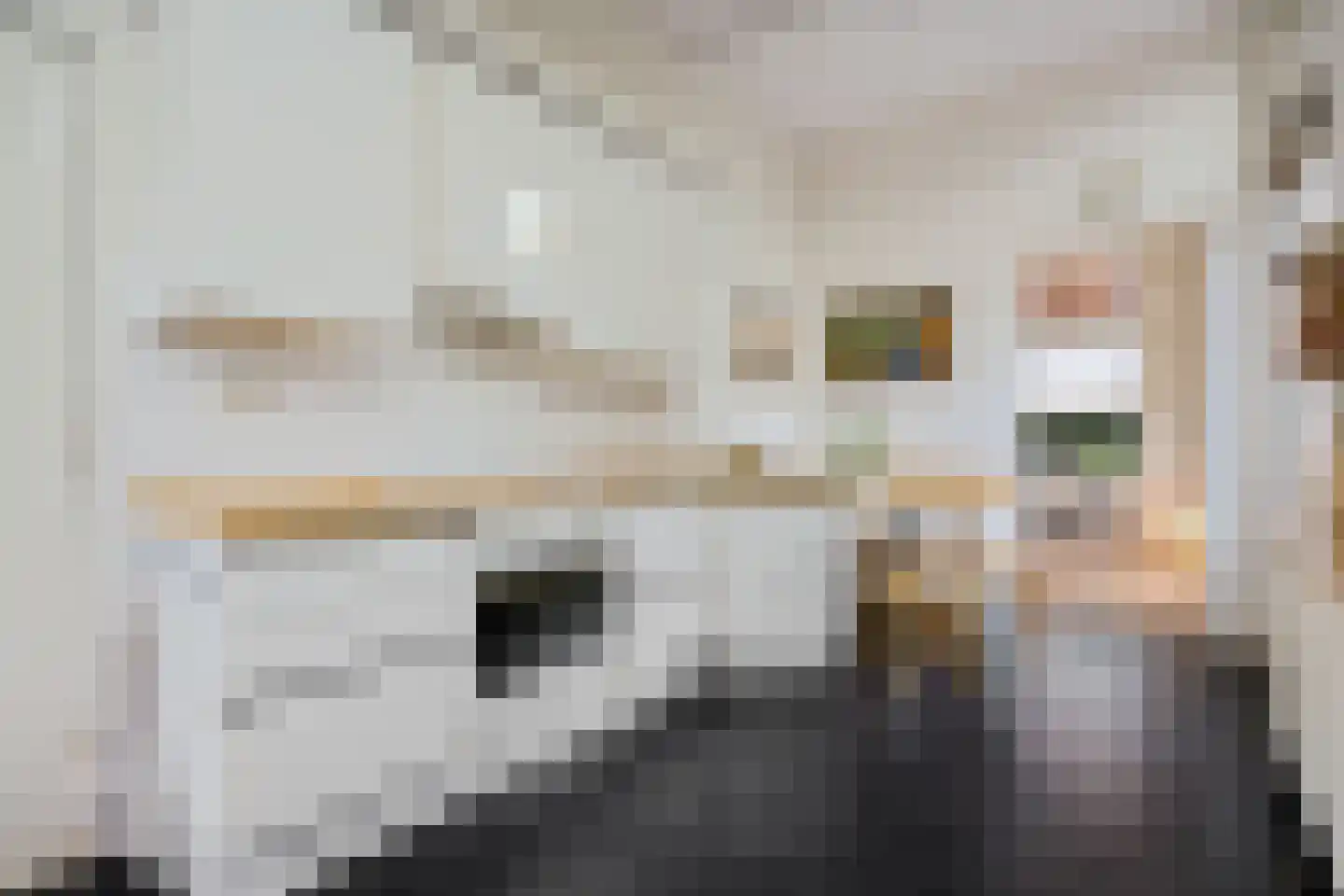 Tukseweg 47 Steenwijk thumbnail 29