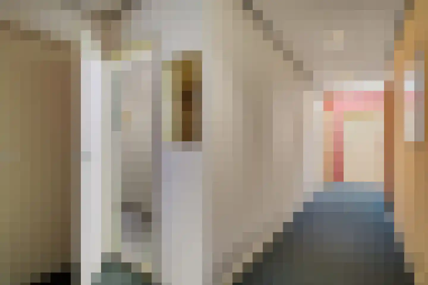 Tukseweg 47 Steenwijk thumbnail 33