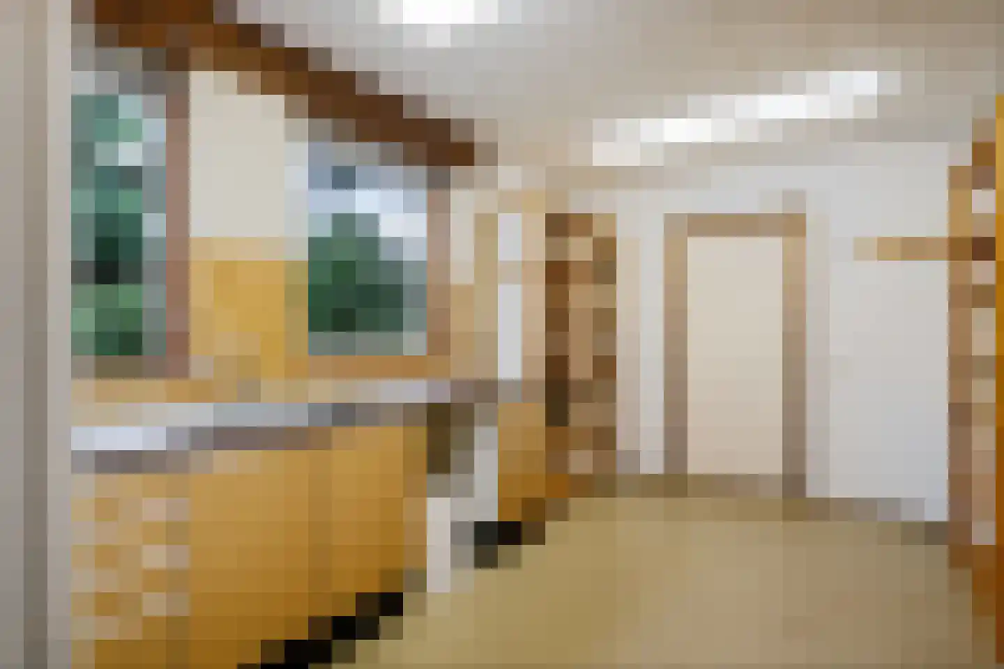 Tukseweg 47 Steenwijk thumbnail 34