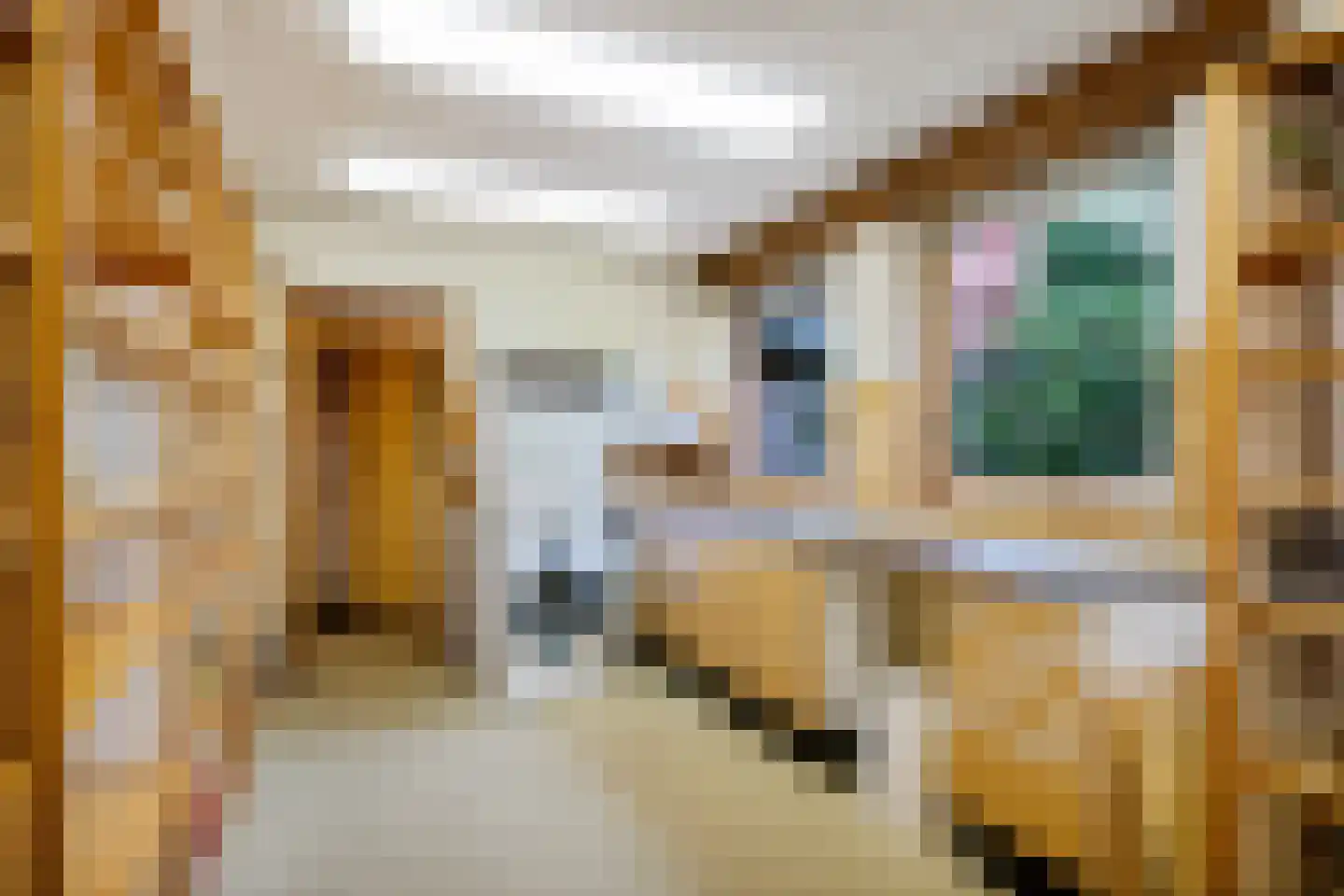 Tukseweg 47 Steenwijk thumbnail 35