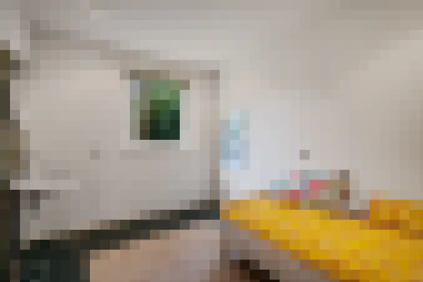 Tukseweg 47 Steenwijk thumbnail 36