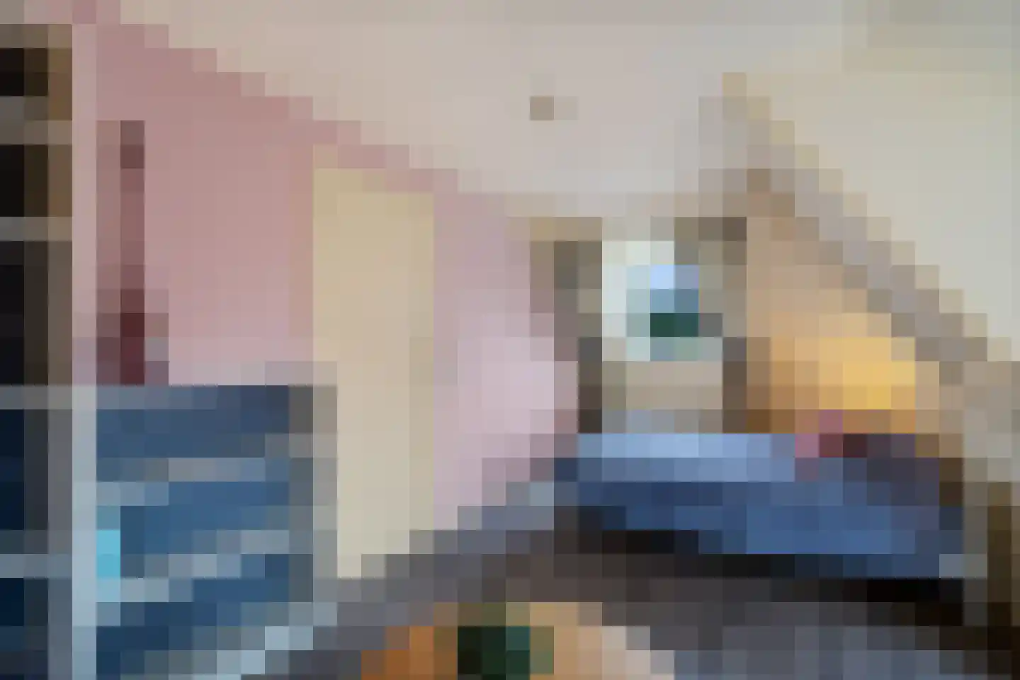 Tukseweg 47 Steenwijk thumbnail 40
