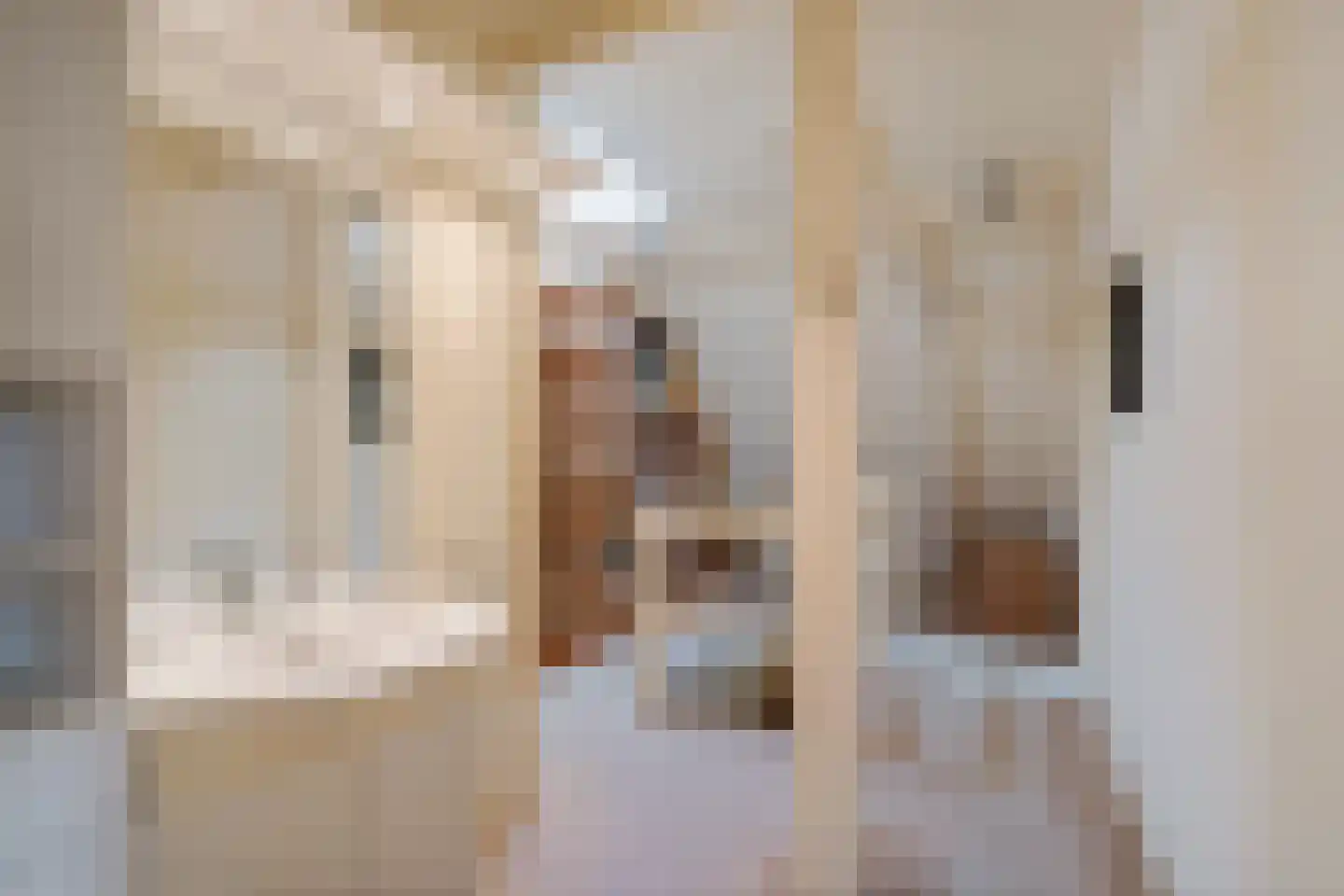 Tukseweg 47 Steenwijk thumbnail 41
