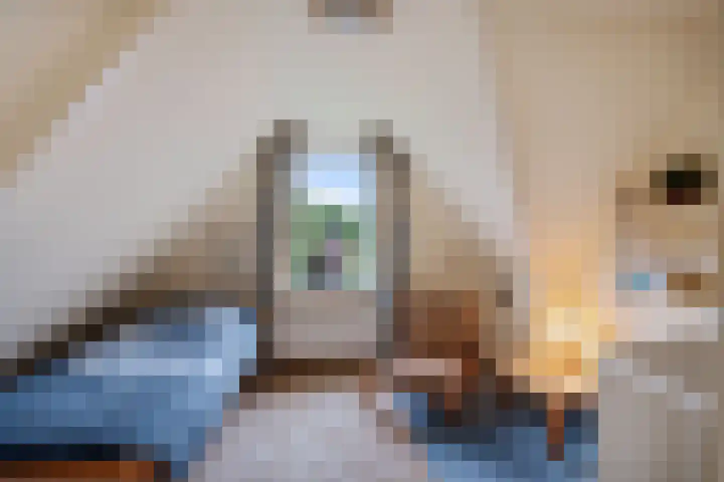 Tukseweg 47 Steenwijk thumbnail 42