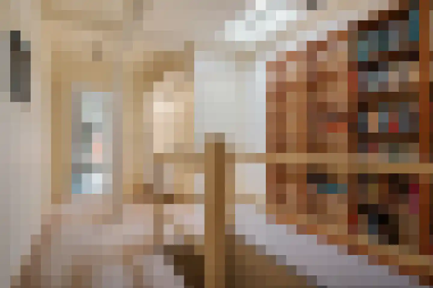 Tukseweg 47 Steenwijk thumbnail 43