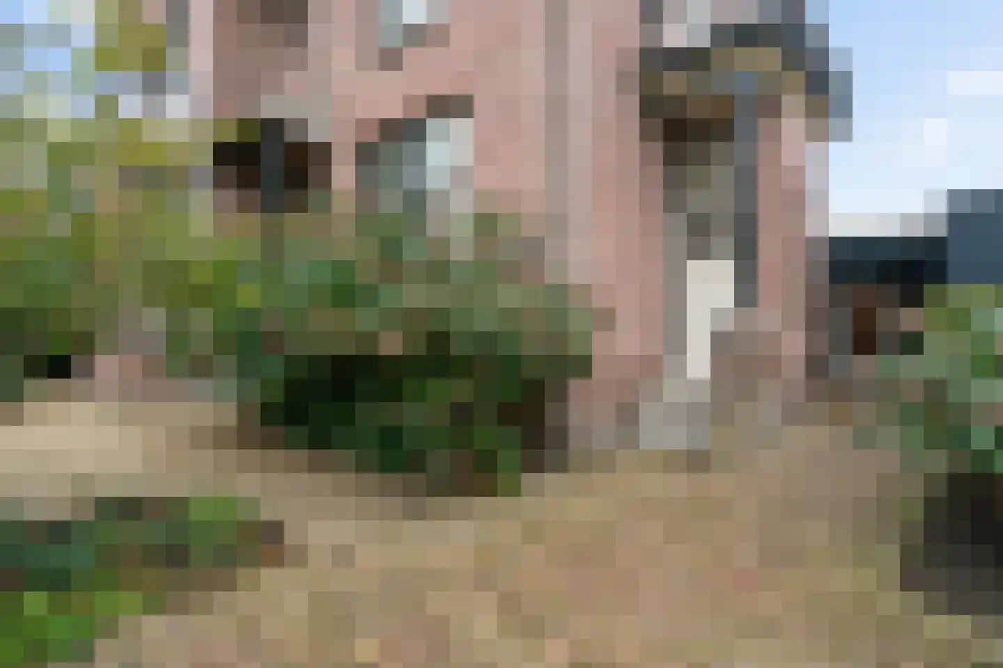 Tukseweg 47 Steenwijk thumbnail 5