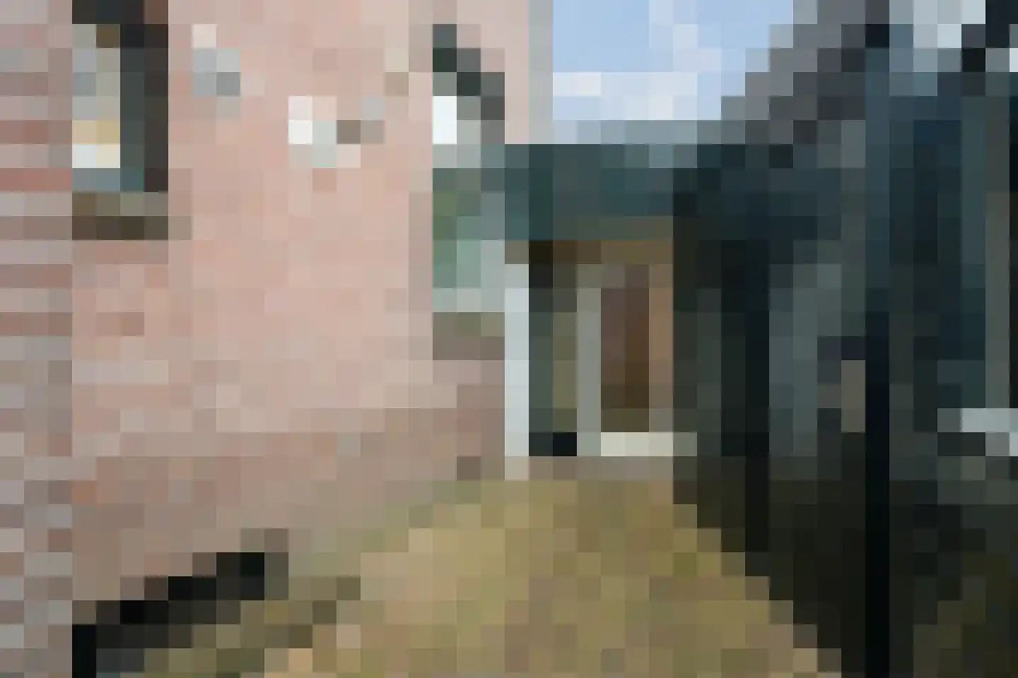Tukseweg 47 Steenwijk thumbnail 6