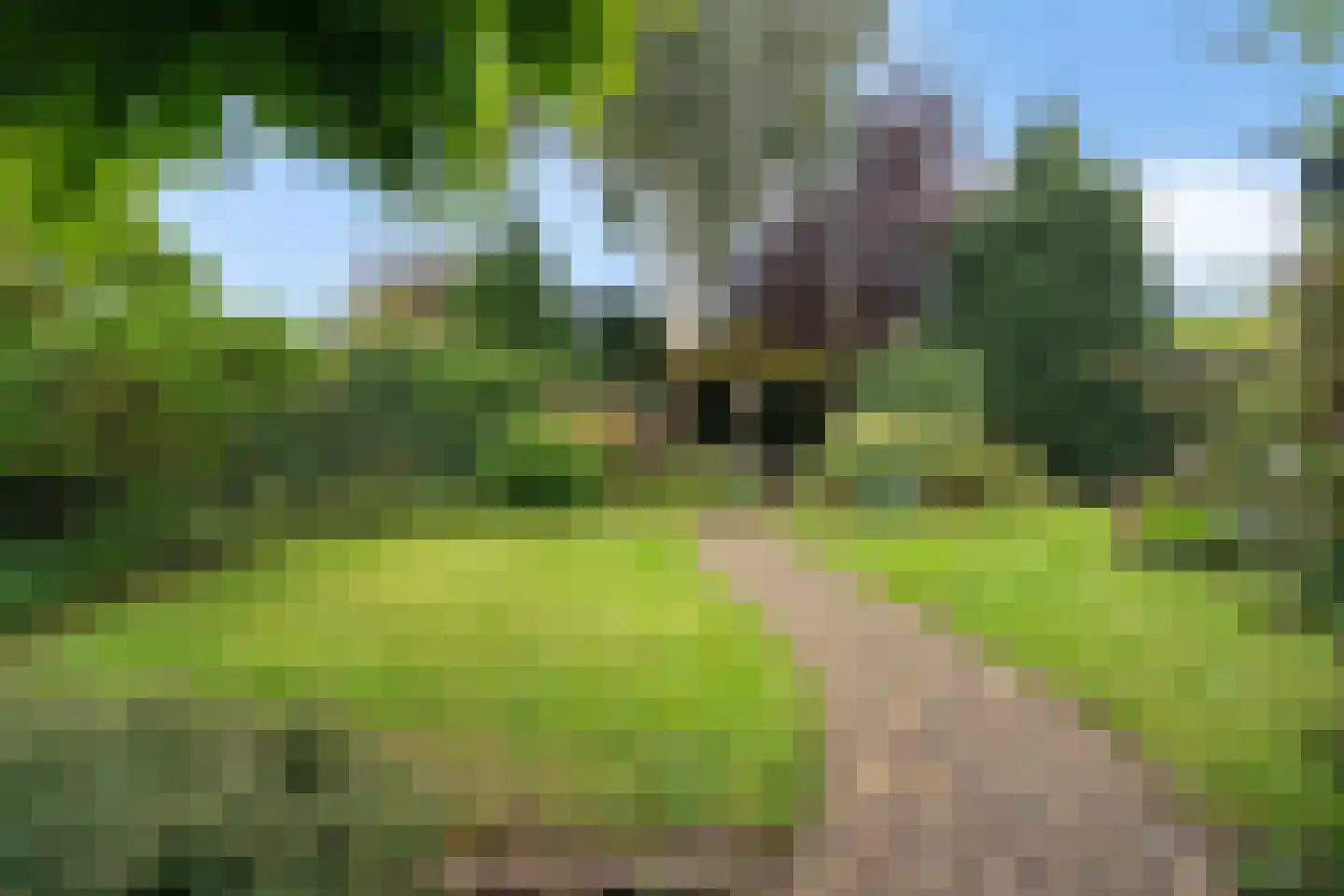 Tukseweg 47 Steenwijk thumbnail 60