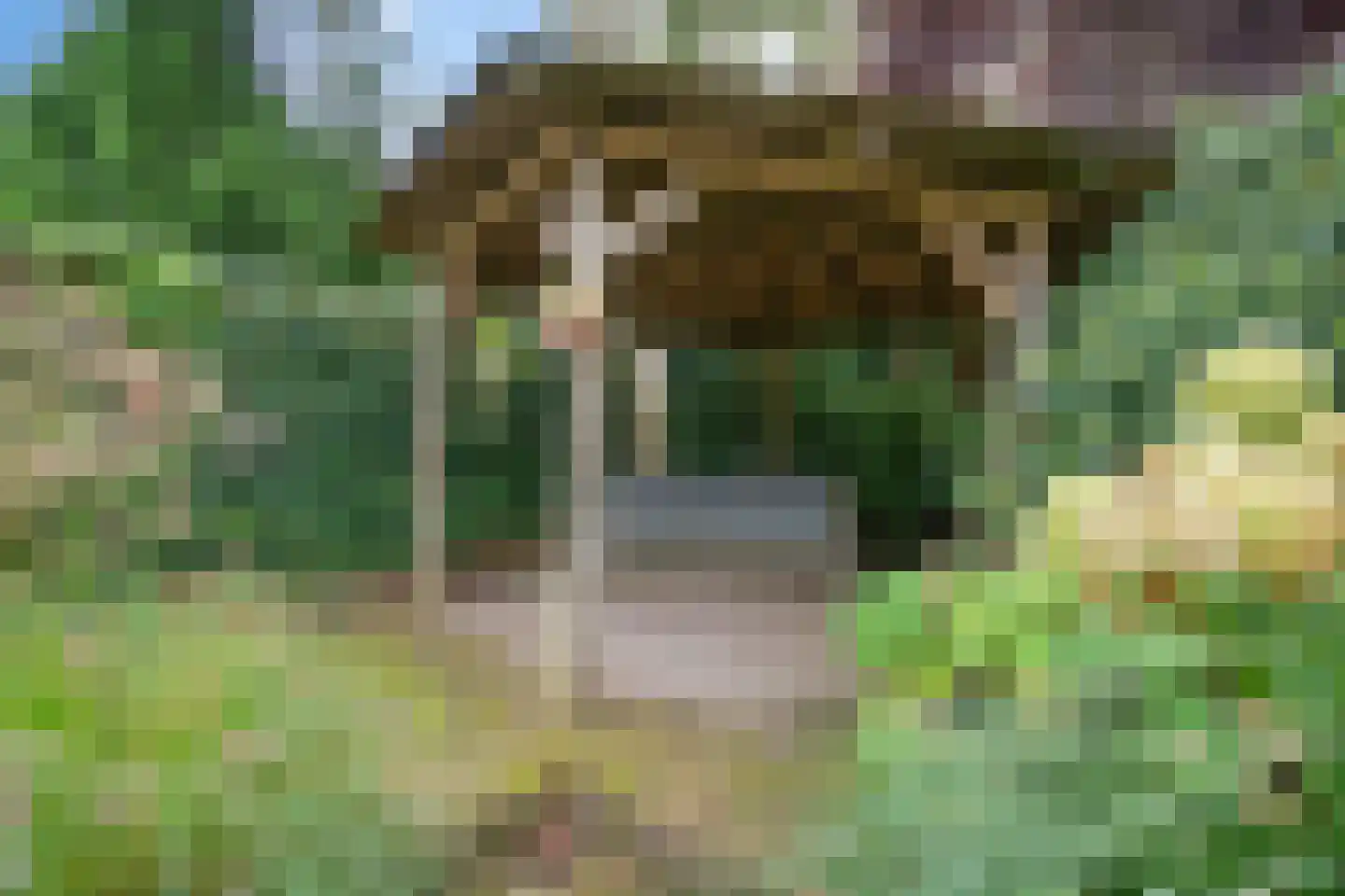 Tukseweg 47 Steenwijk thumbnail 61