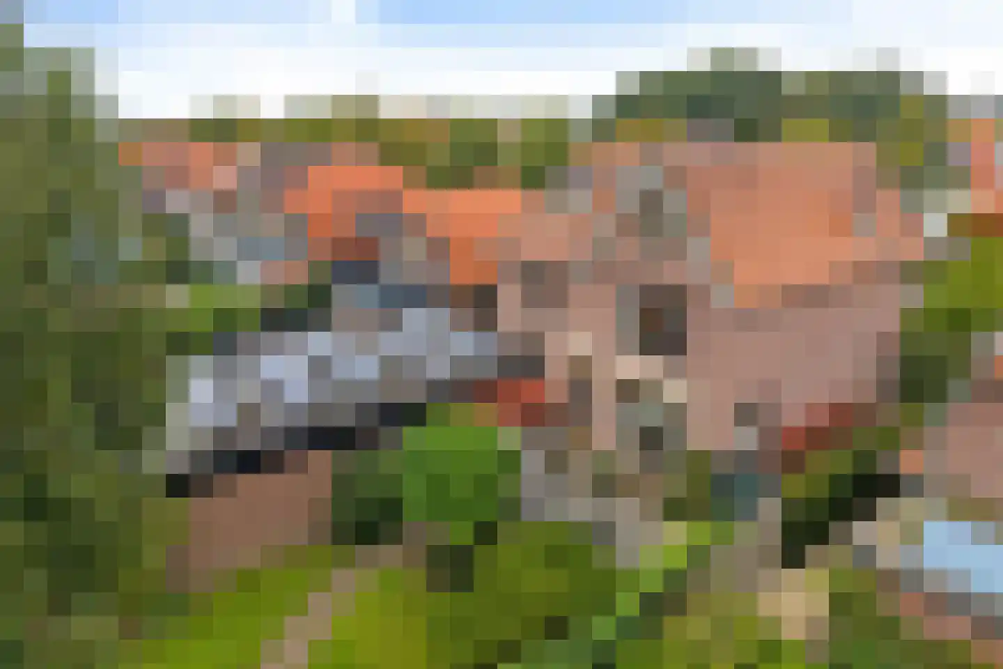Tukseweg 47 Steenwijk thumbnail 65