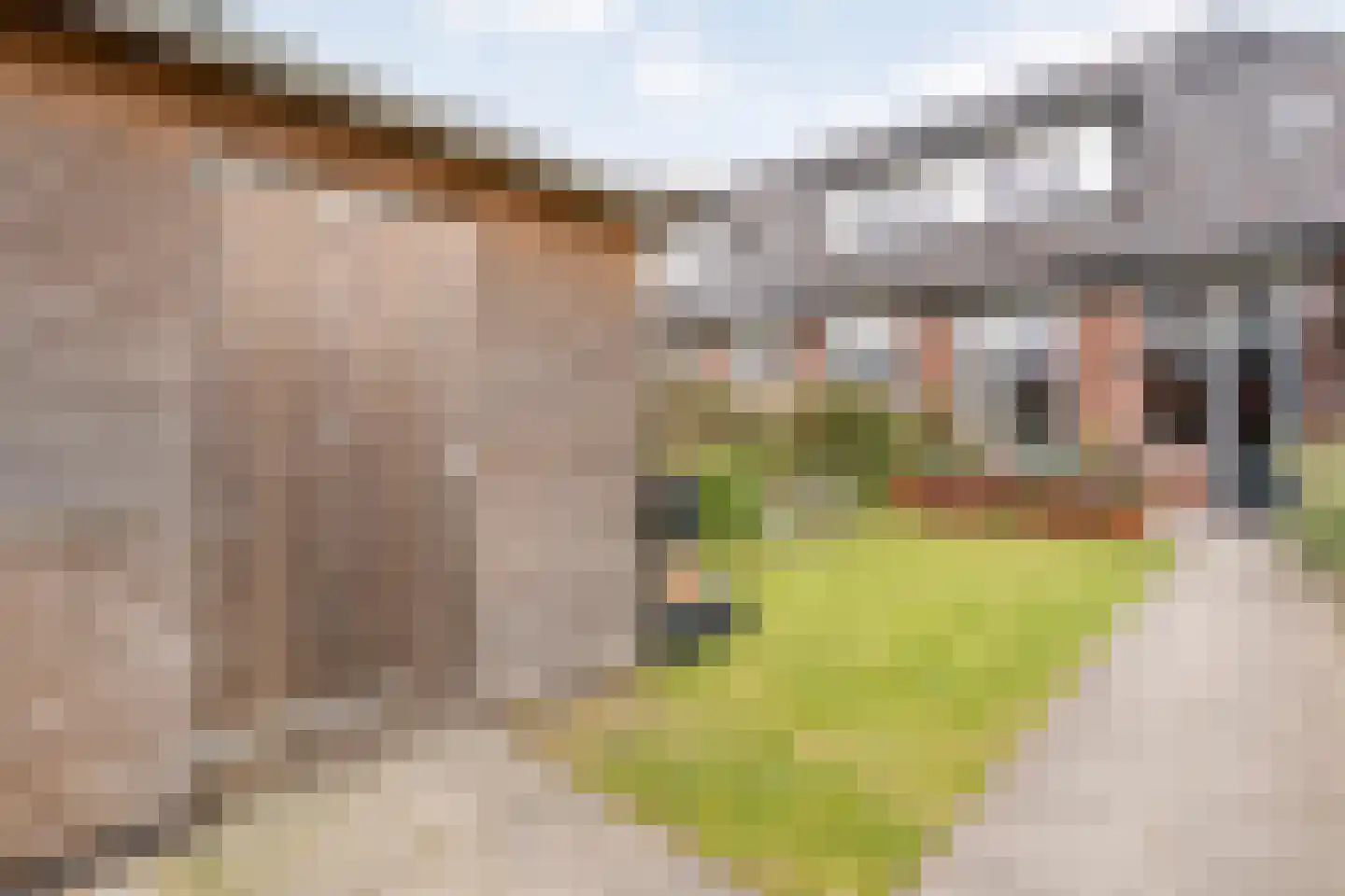 Tukseweg 71 A Steenwijk thumbnail 32