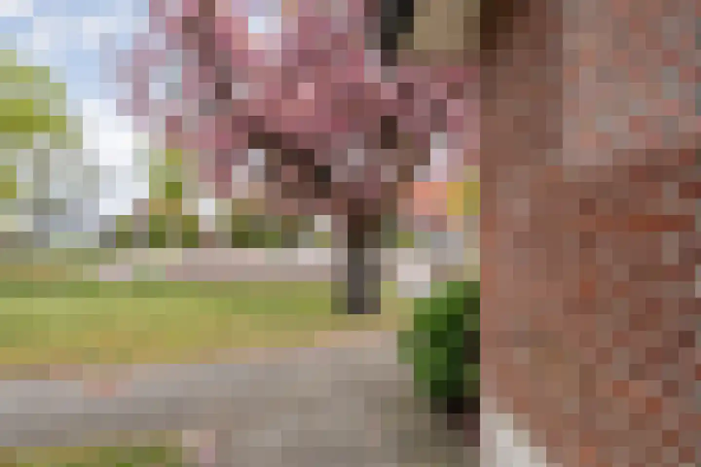 Tukseweg 71 A Steenwijk thumbnail 37