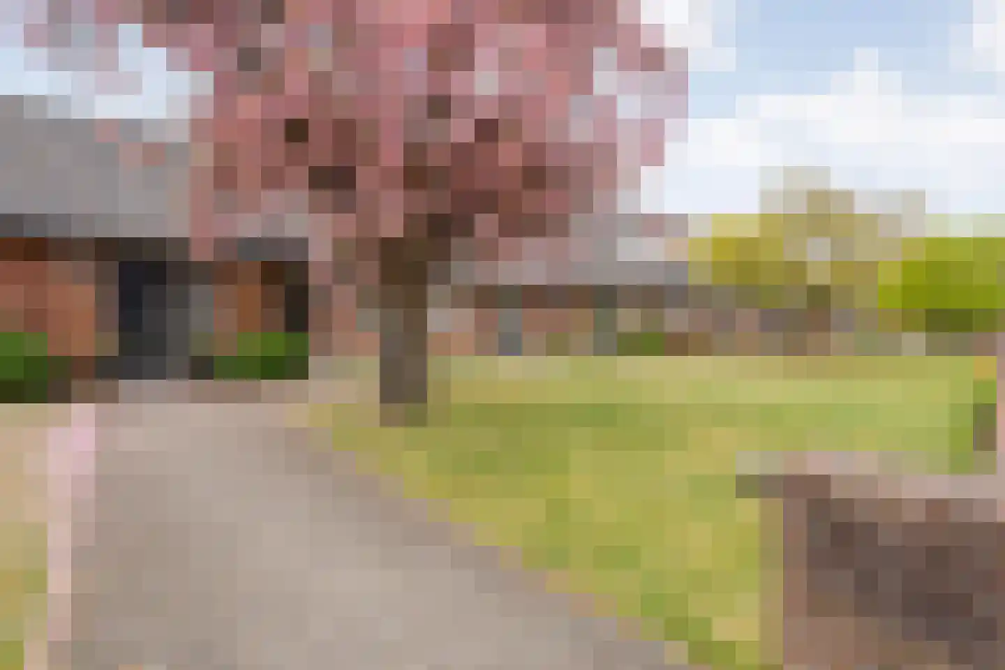 Tukseweg 71 A Steenwijk thumbnail 38