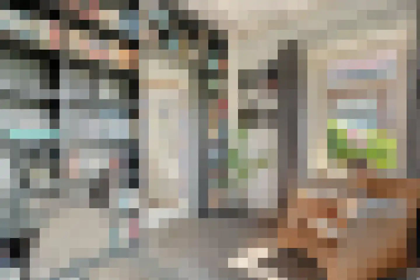 Tukseweg 84 Steenwijk thumbnail 17