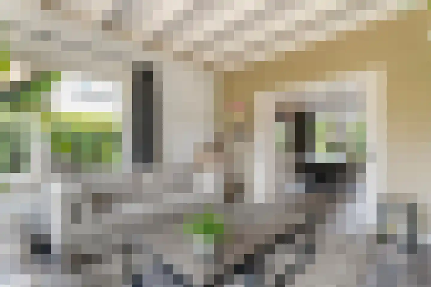 Tukseweg 84 Steenwijk thumbnail 18