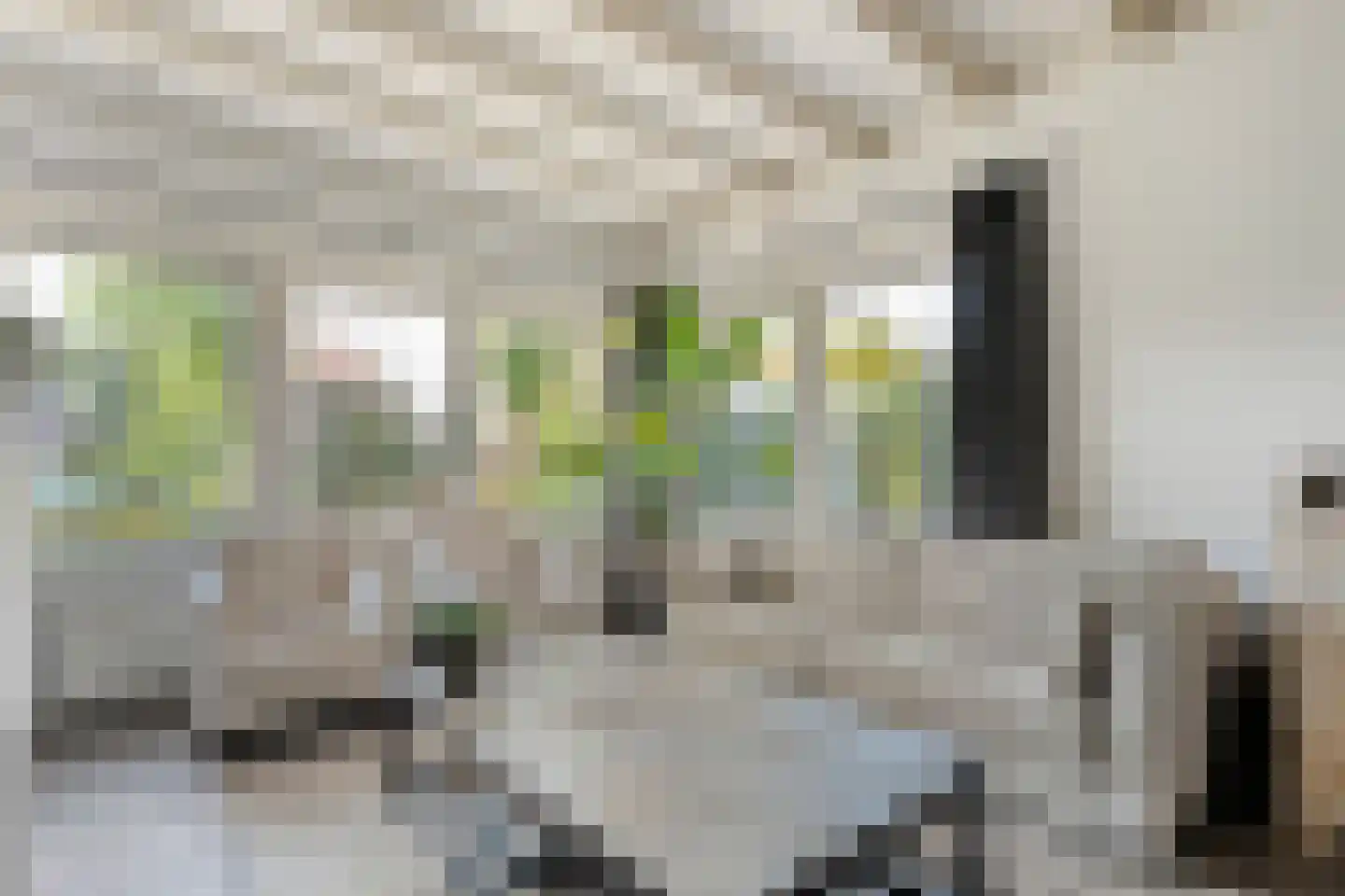 Tukseweg 84 Steenwijk thumbnail 19