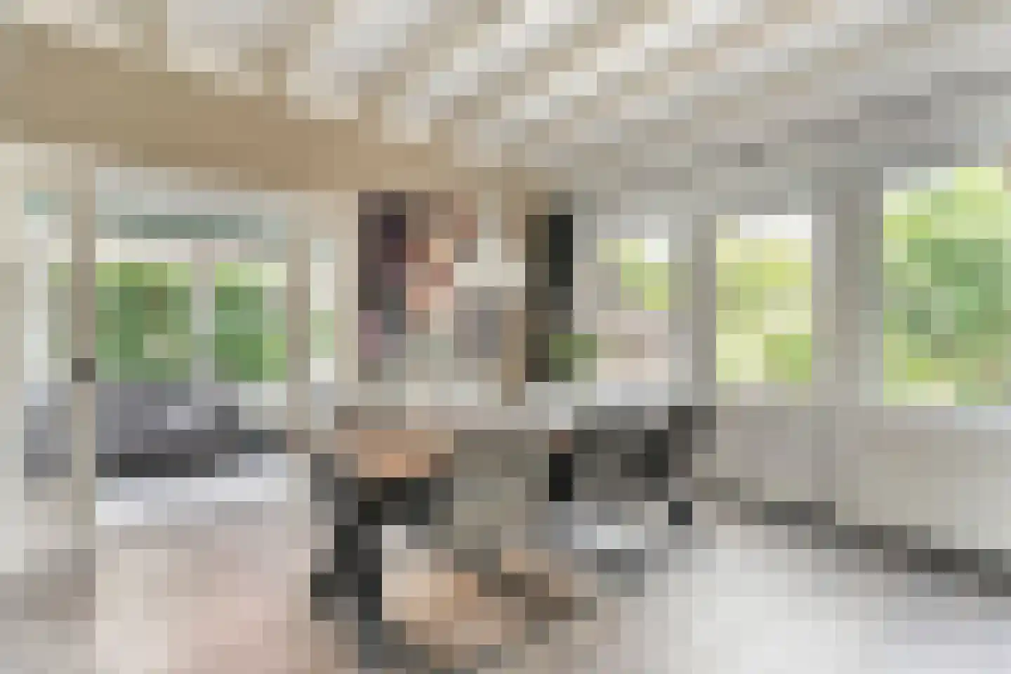 Tukseweg 84 Steenwijk thumbnail 22