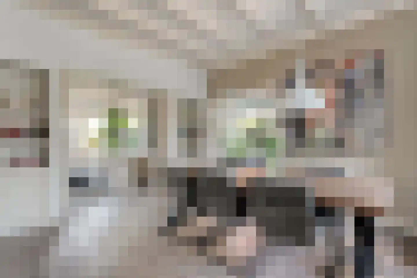 Tukseweg 84 Steenwijk thumbnail 23