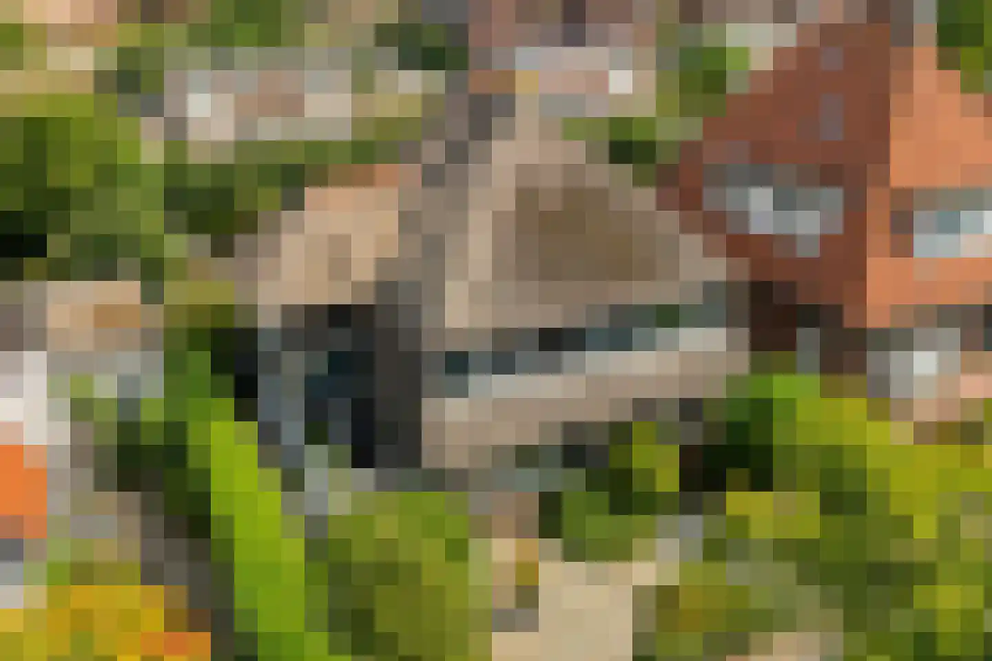 Tukseweg 84 Steenwijk thumbnail 5