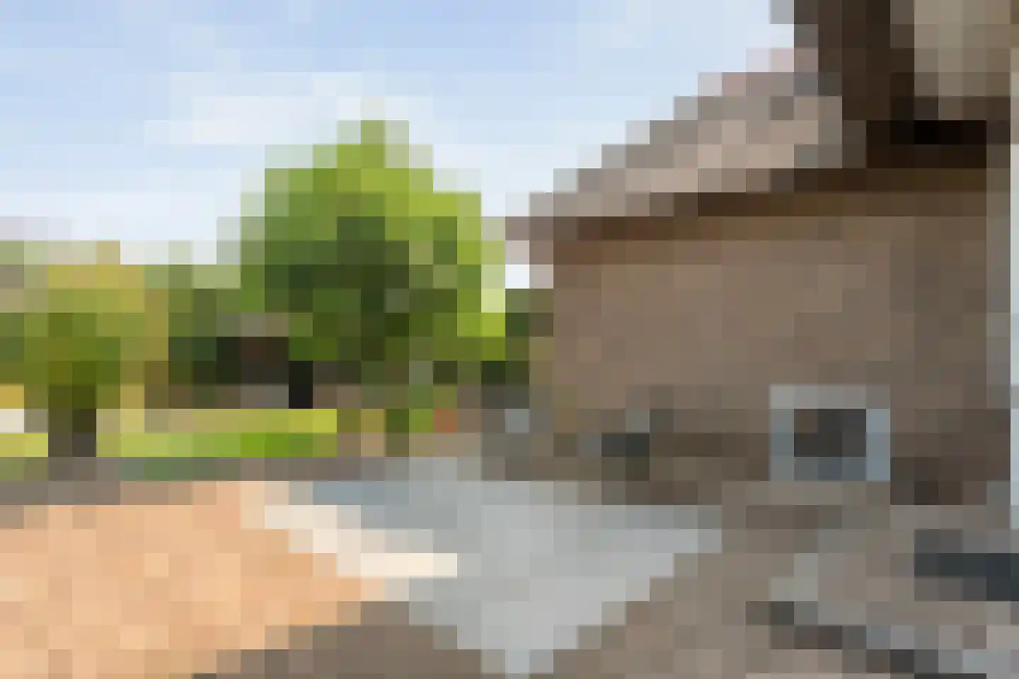 Tukseweg 84 Steenwijk thumbnail 58