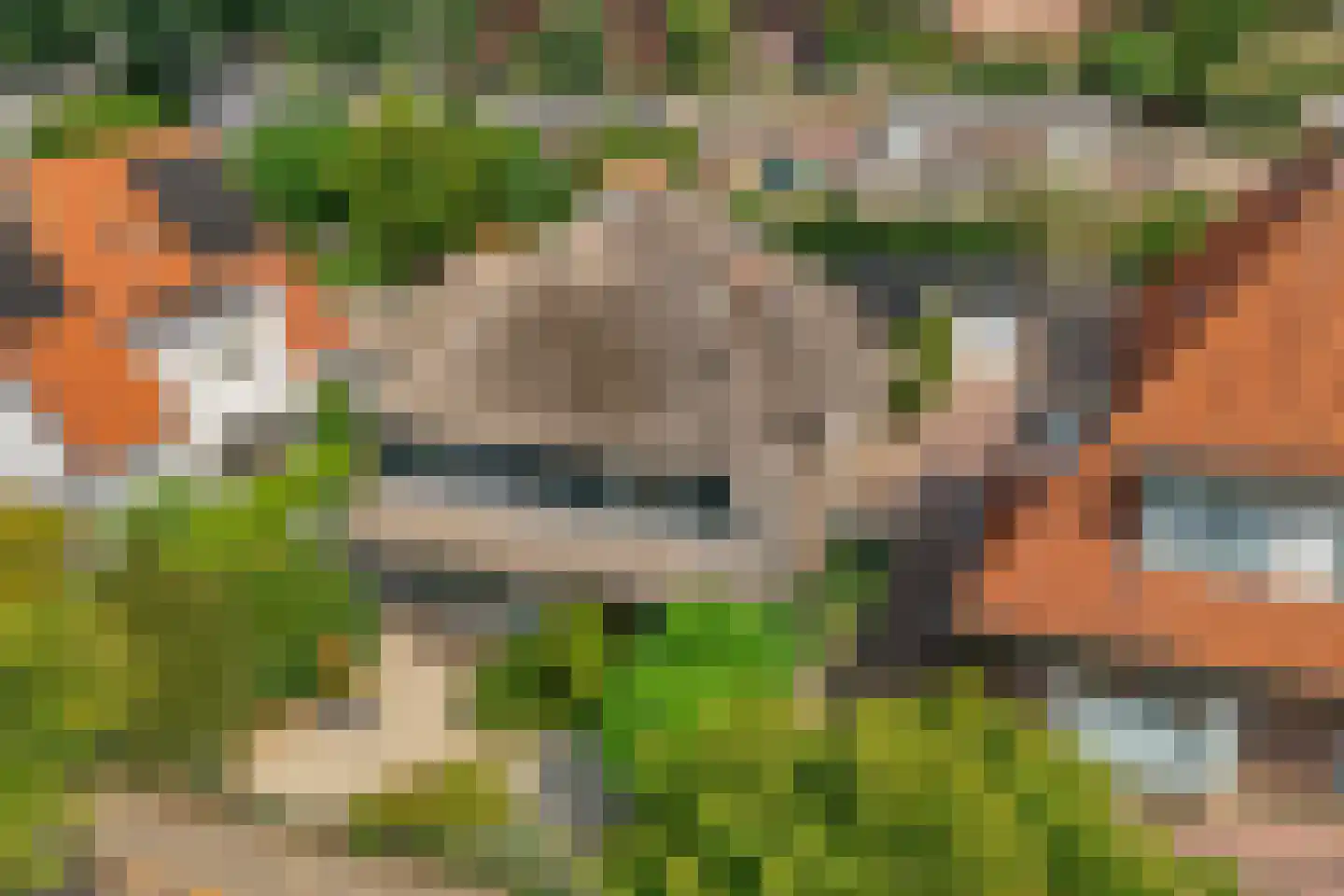 Tukseweg 84 Steenwijk thumbnail 6