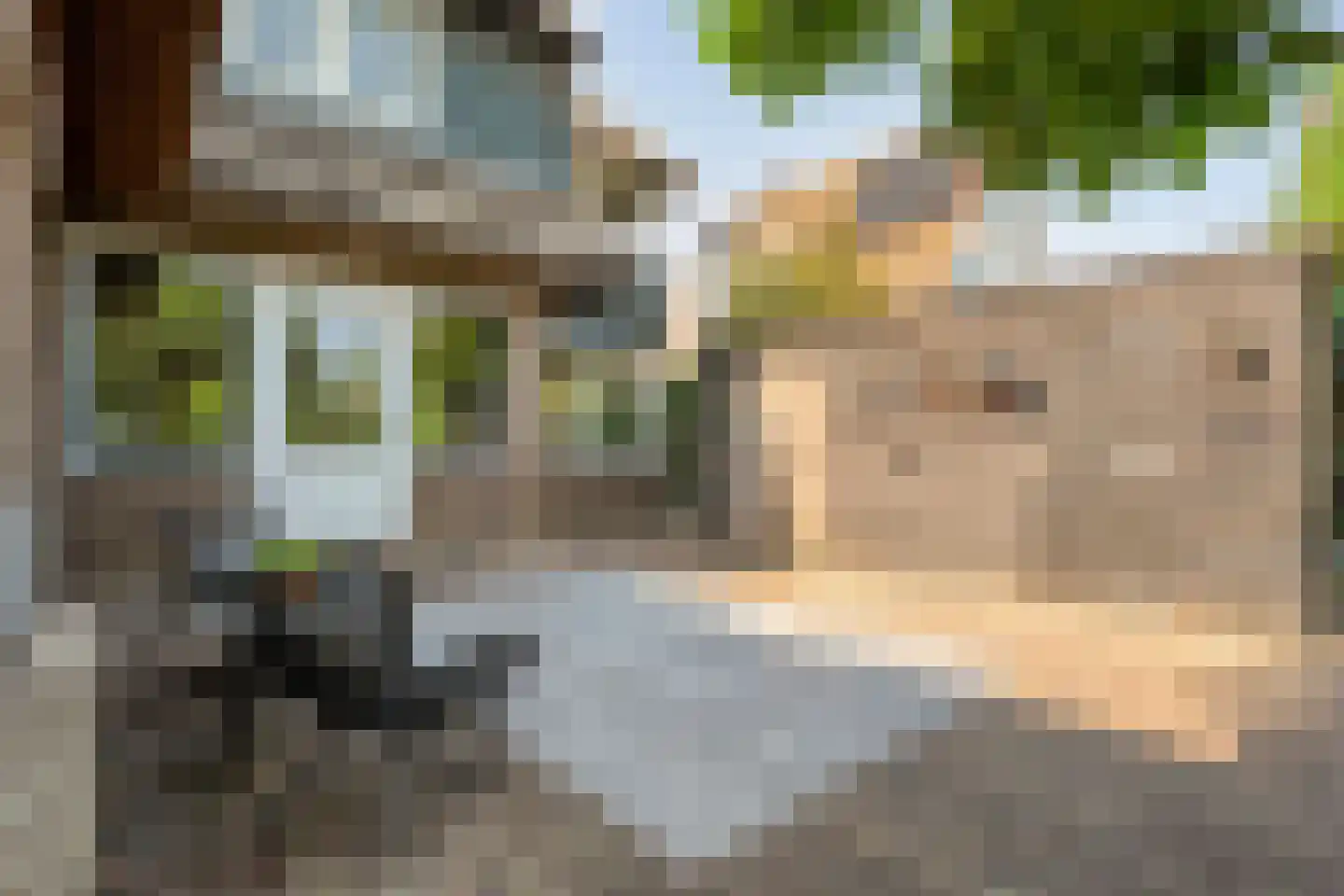 Tukseweg 84 Steenwijk thumbnail 62