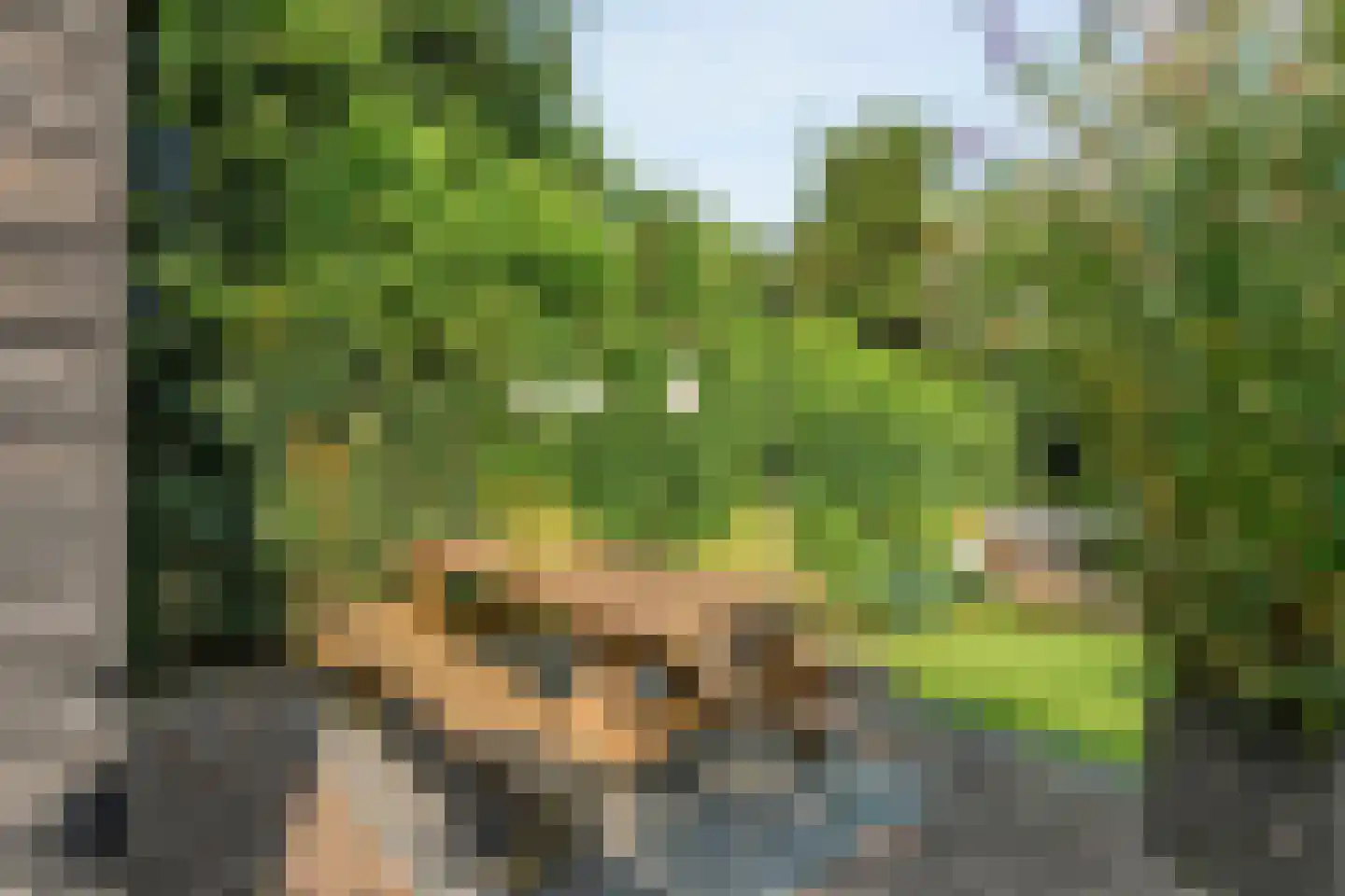 Tukseweg 84 Steenwijk thumbnail 63