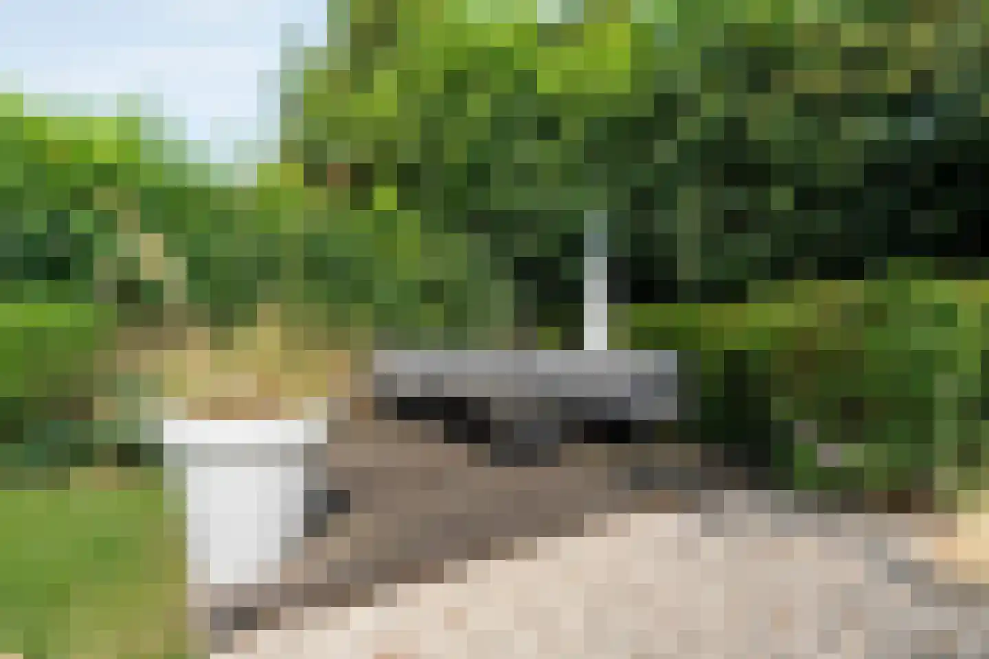 Tukseweg 84 Steenwijk thumbnail 65