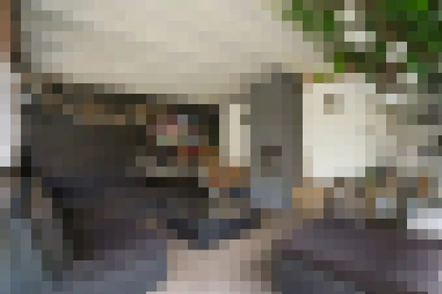 Tukseweg 84 Steenwijk thumbnail 68