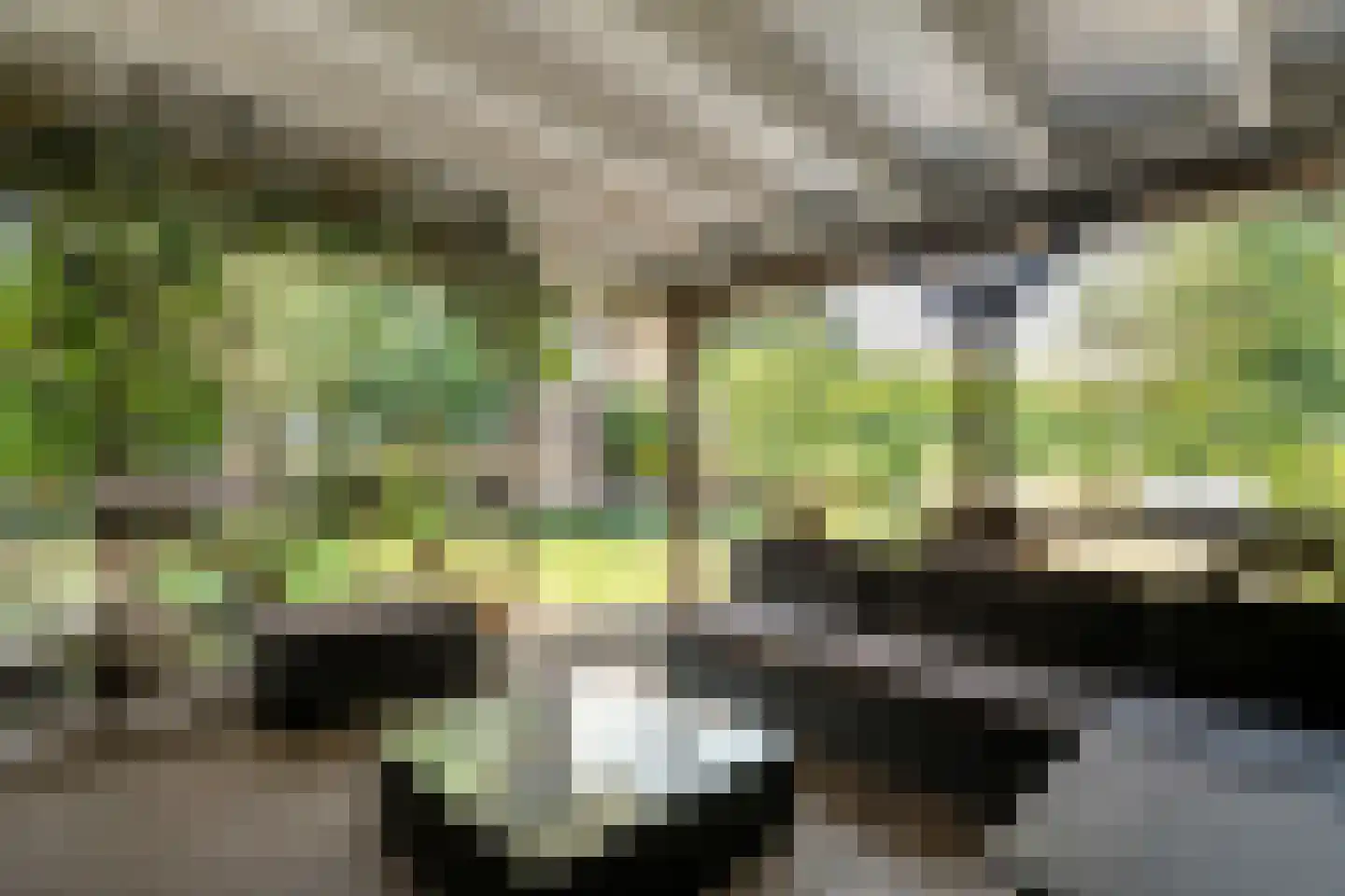 Tukseweg 84 Steenwijk thumbnail 69