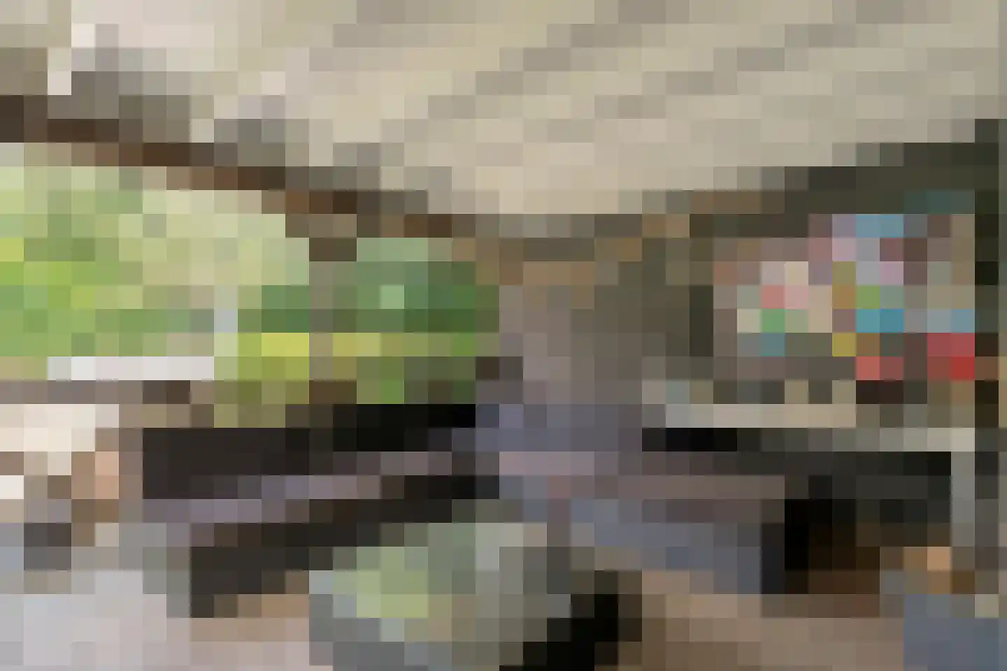 Tukseweg 84 Steenwijk thumbnail 70