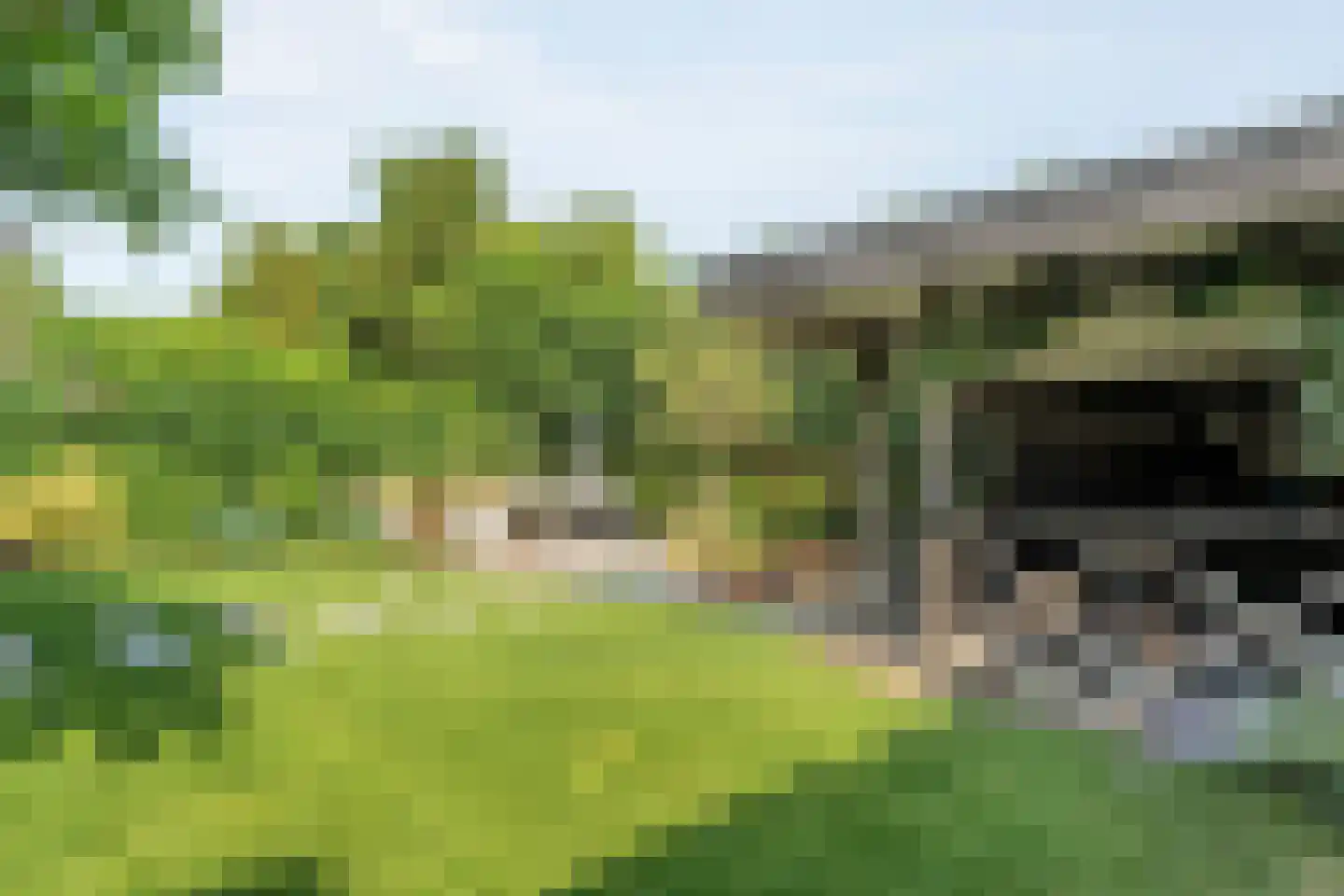 Tukseweg 84 Steenwijk thumbnail 71