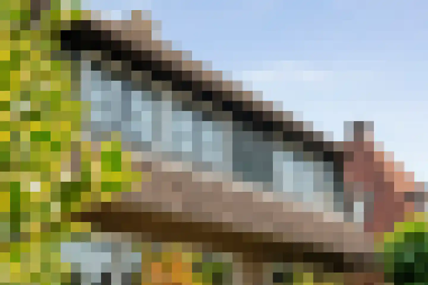 Tukseweg 84 Steenwijk thumbnail 80